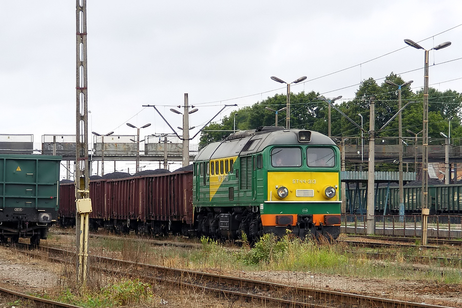 ST44-313