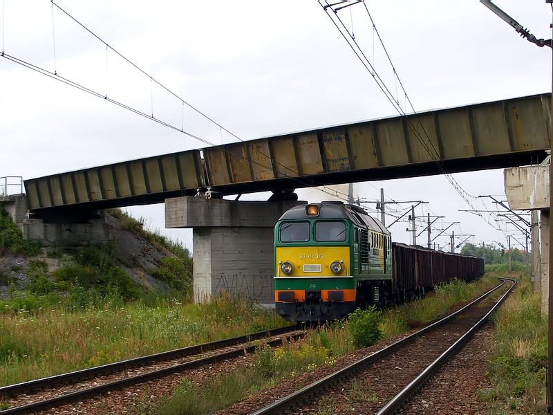 ST44-313