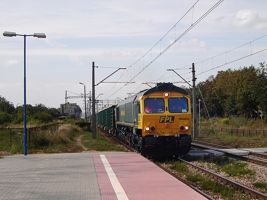 66004