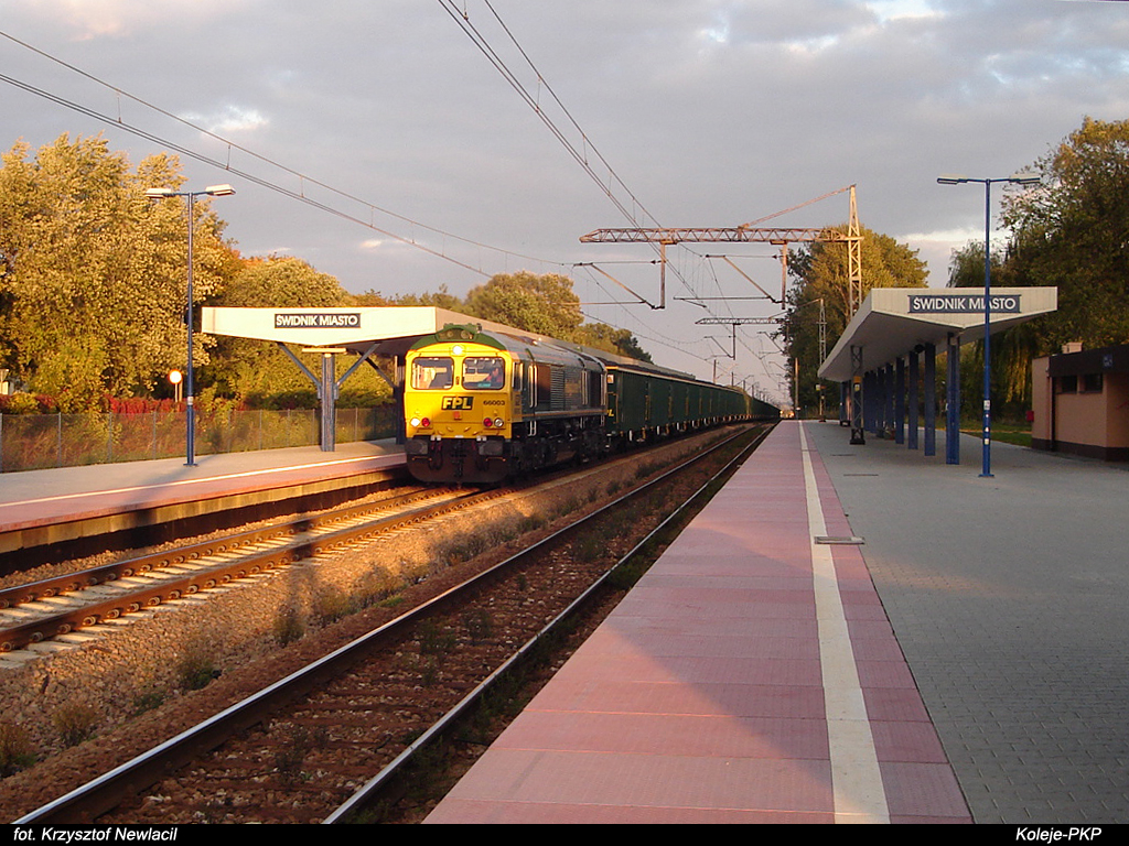 66003