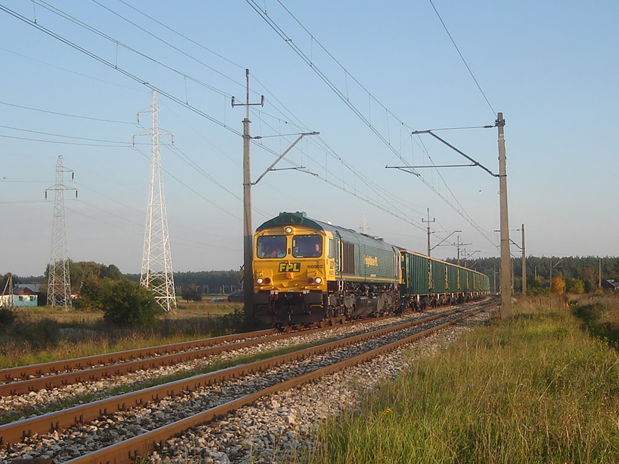 66002