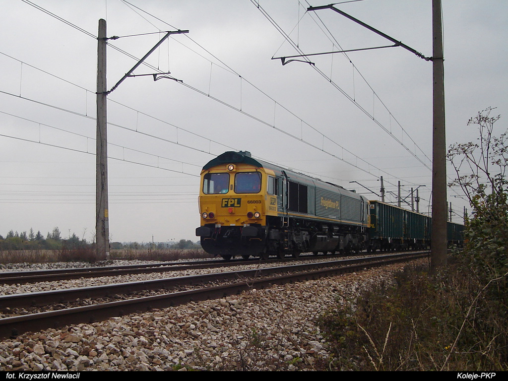 66003