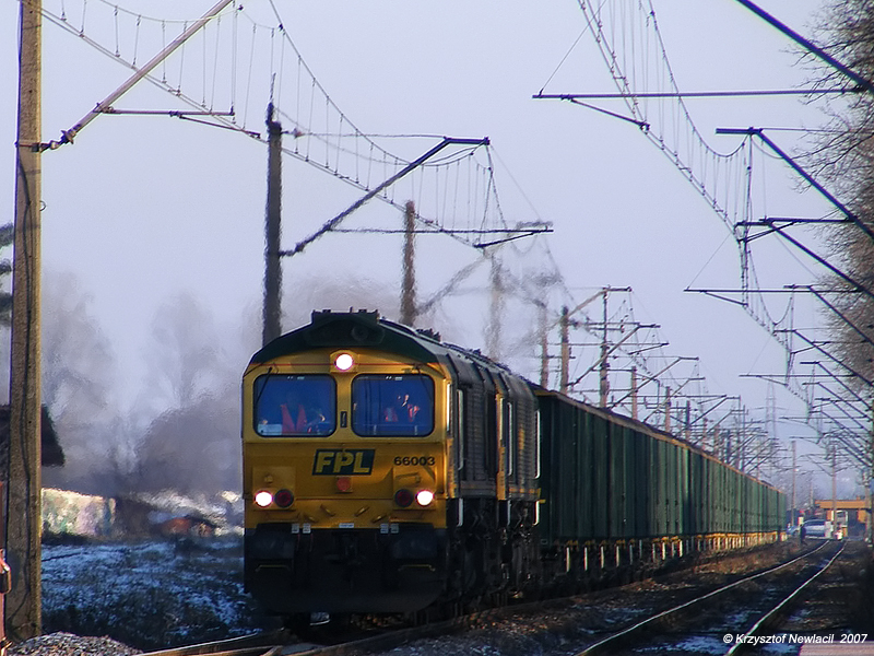 66003