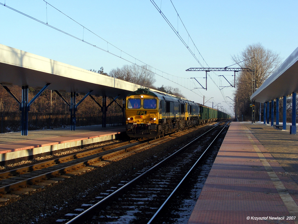 66003